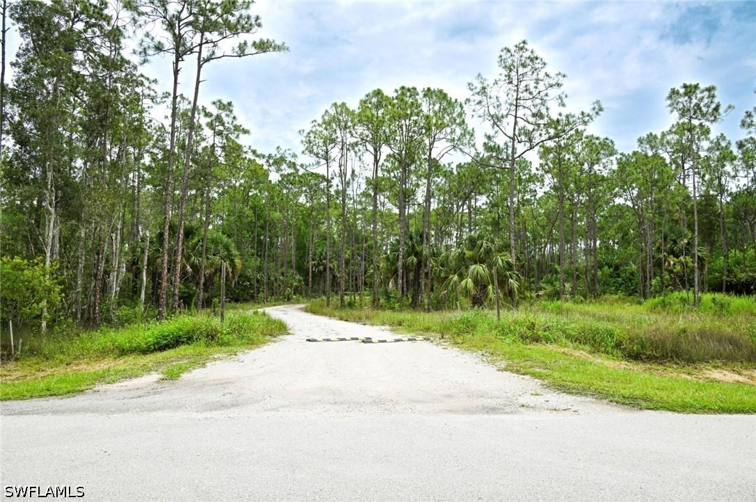 24443 Rocky Rd., Bonita Springs, FL 34135