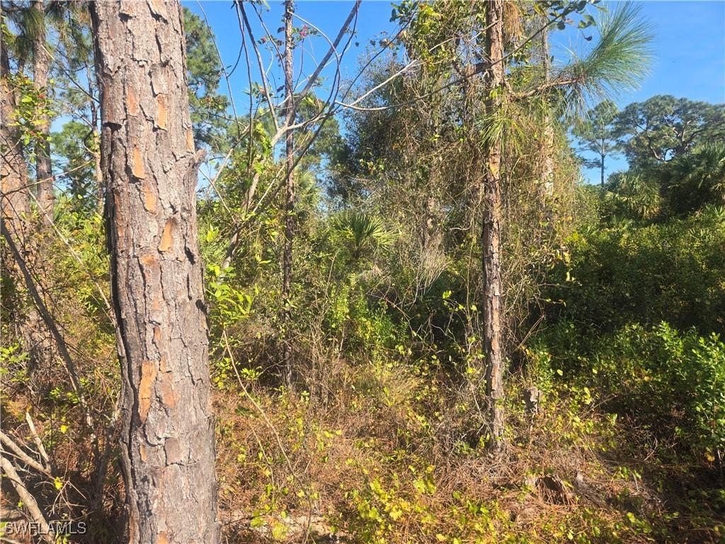 711 Giorgio Ave., Lehigh Acres, FL 33974