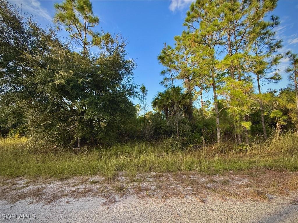 4219 E 25th St., Alva, FL 33920