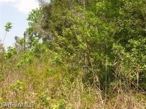 Wild Turkey Dr., Naples, FL 34120