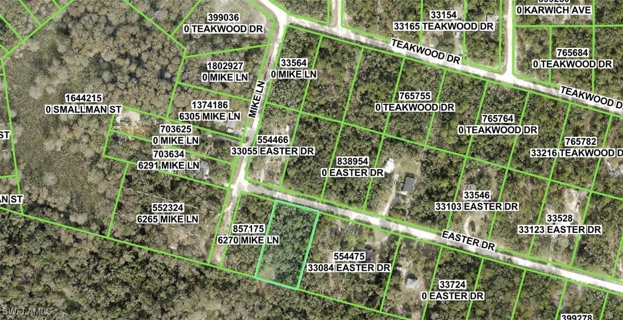 Easter Dr., Webster, FL 33597