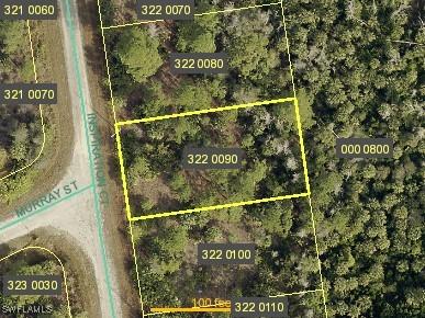 1828 Inspiration Ct., Lehigh Acres, FL 33972