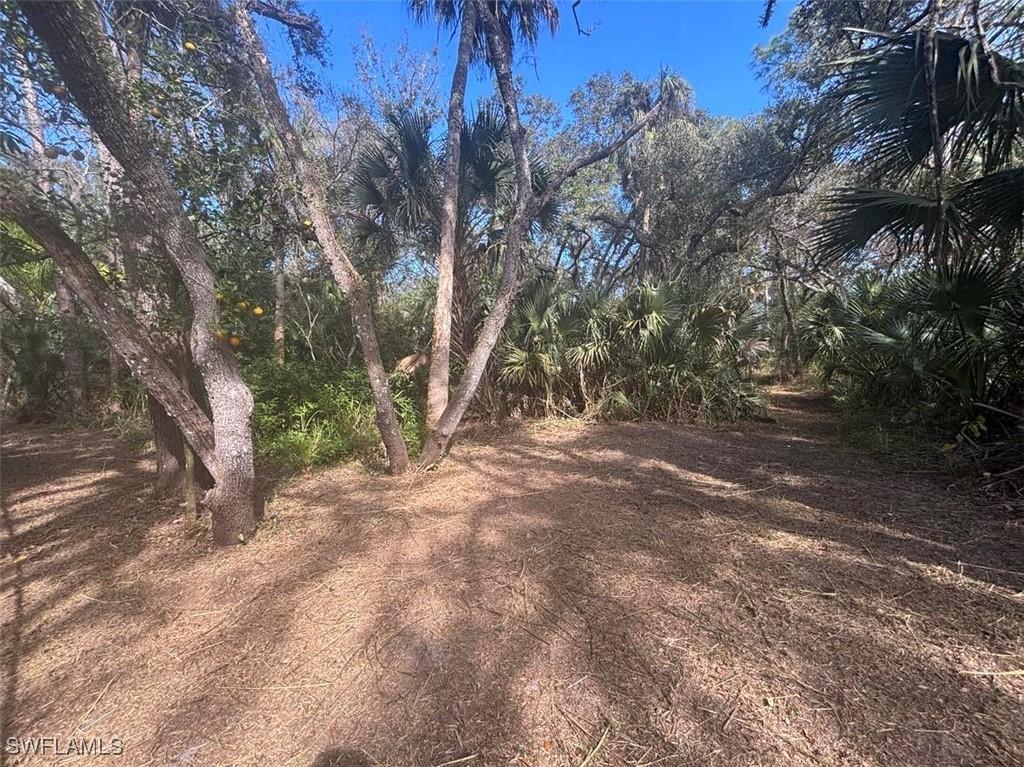 21731 Park St., Alva, FL 33920