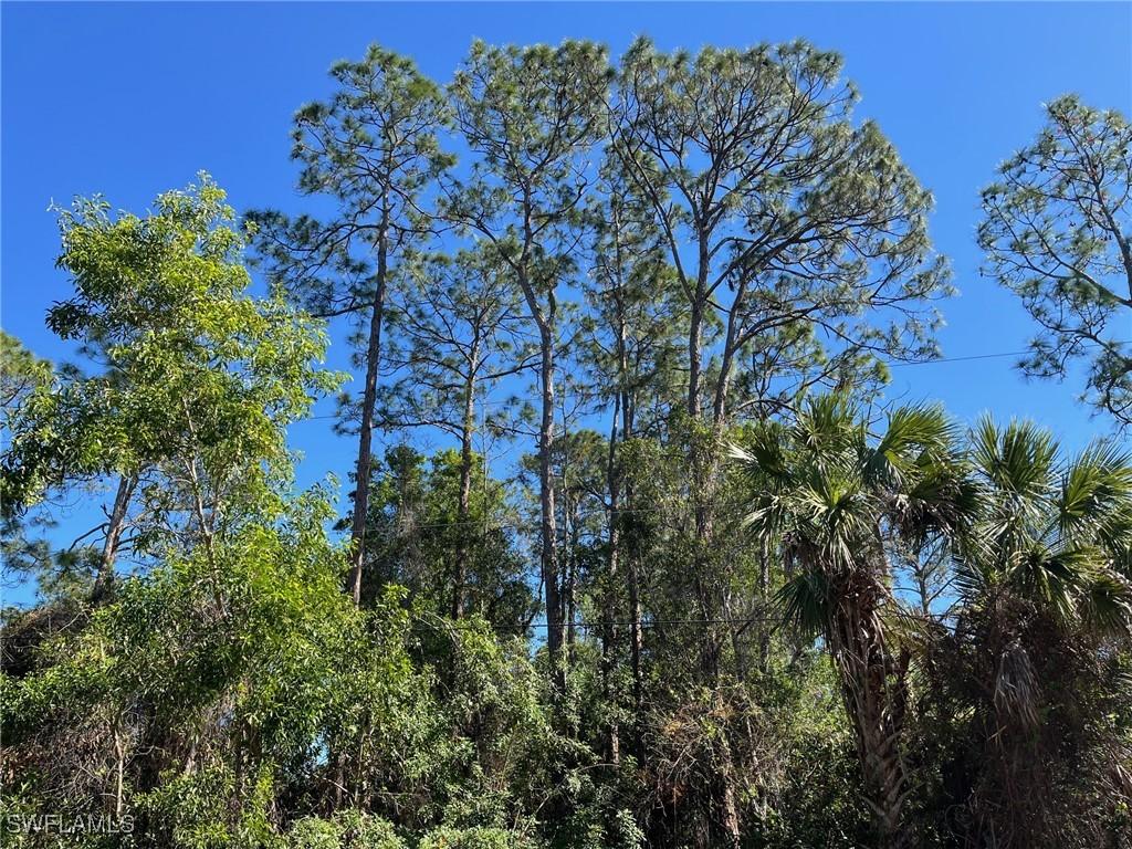 31st St., Naples, FL 34117