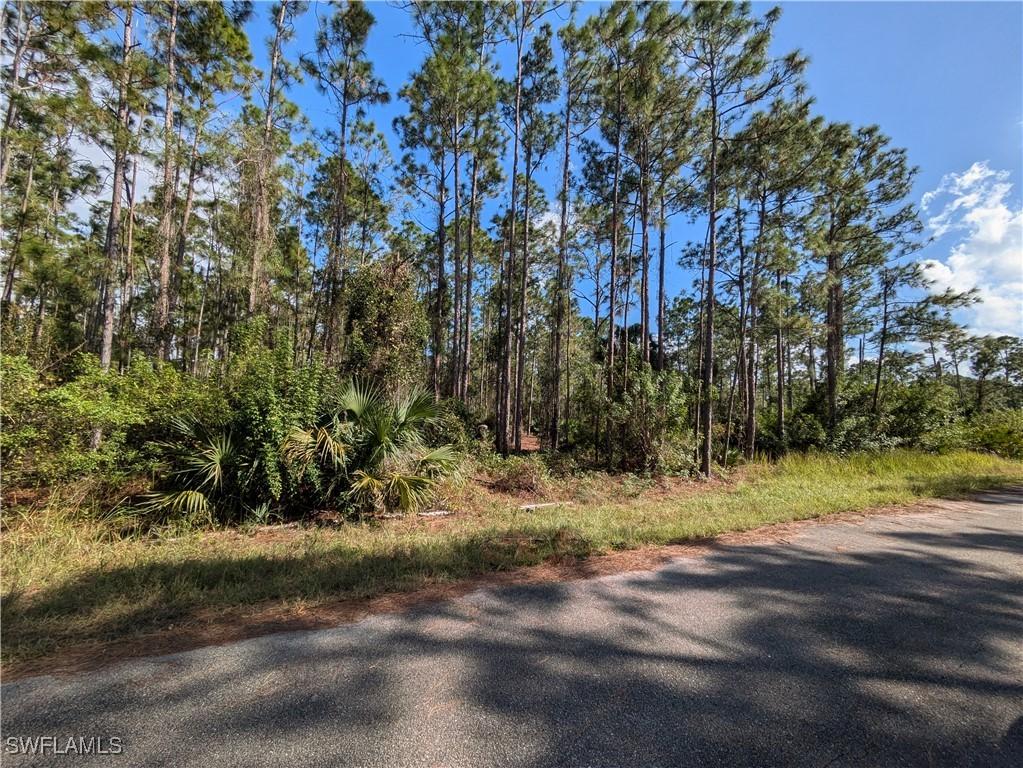 2118 Louis Ave., Alva, FL 33920
