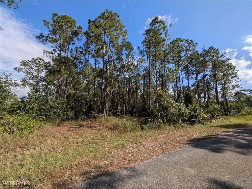 2120 Louis Ave., Alva, FL 33920