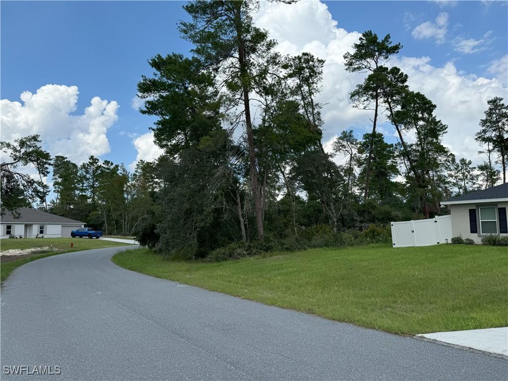 XXX SW 167th Loop, Ocala, FL 34473