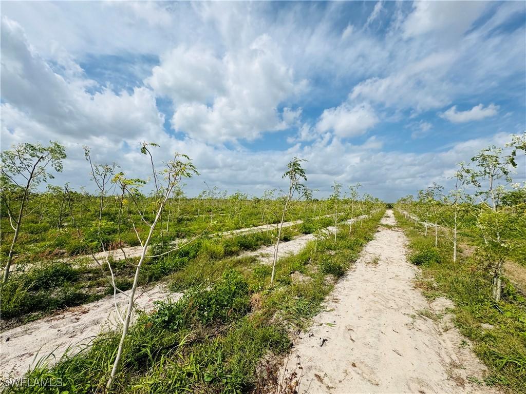 4276 2nd Rd., Labelle, FL 33935