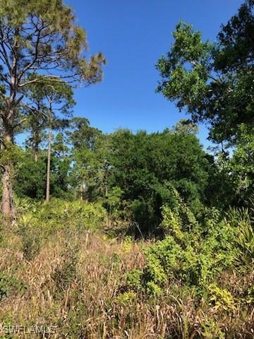 769 Horse Club Ave., Clewiston, FL 33440