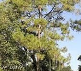 2nd Ave., Naples, FL 34120