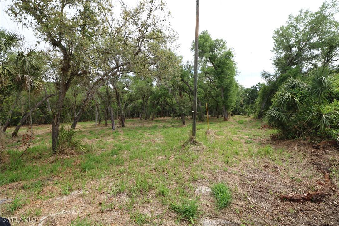 2998 SW Armadillo Tr., Arcadia, FL 34266