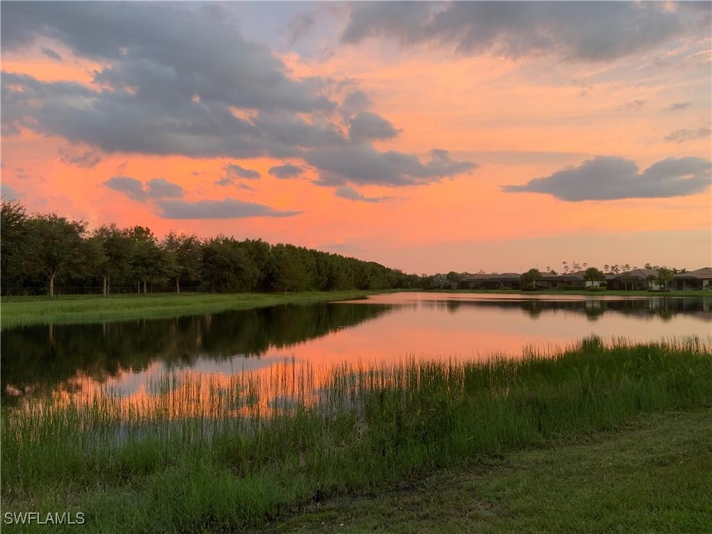 20309 Black Tree Ln., Estero, FL 33928