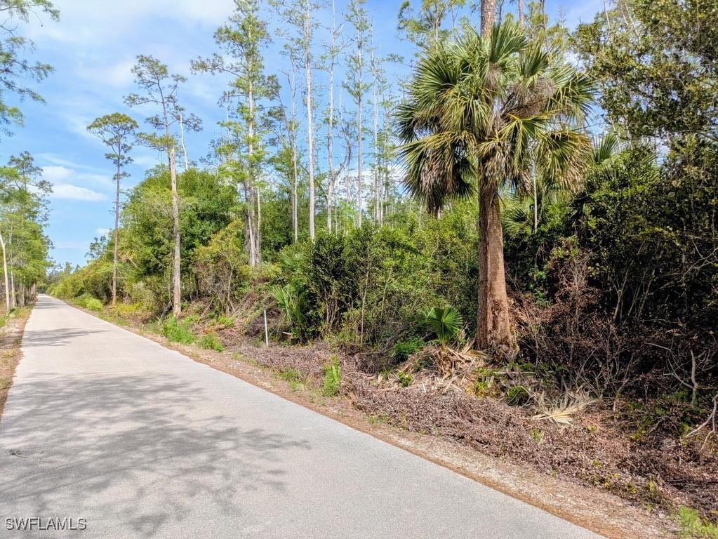 18203 Dusty Ln., Estero, FL 33928