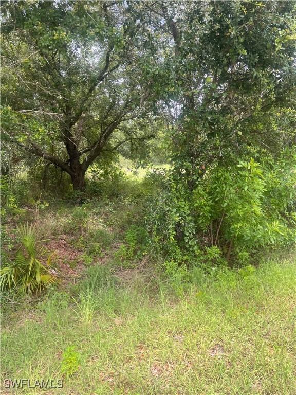 [Address Hidden by Seller], Lehigh Acres, FL 33972