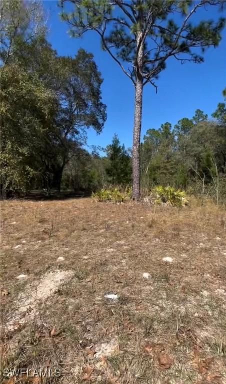 116 Lancaster St., Interlachen, FL 32148