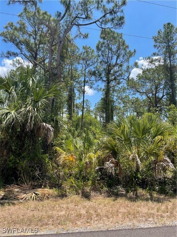 20 E Fitch Ave., Lehigh Acres, FL 33936