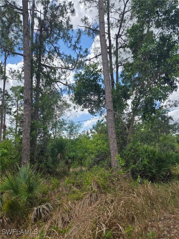 2556 Randall Blvd., Naples, FL 34120