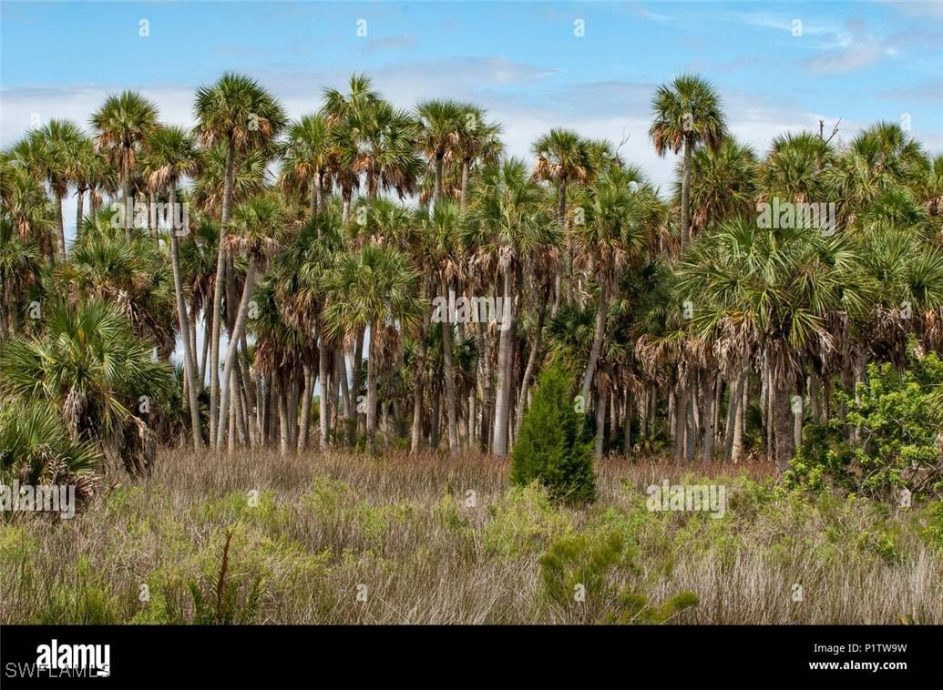 Desoto Blvd, Naples, FL 34120