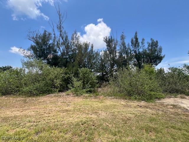 2917 NW 9th Ter., Cape Coral, FL 33993