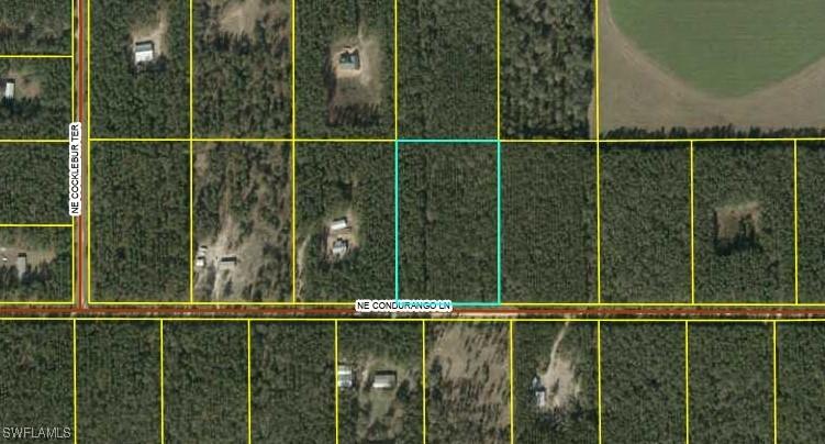 Cordurango Ln., Lee, FL 32059