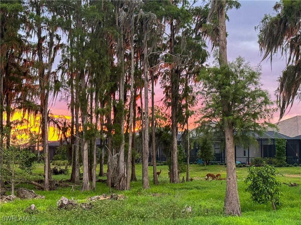 6023 Ellerston Way #1816, Ave Maria, FL 34142
