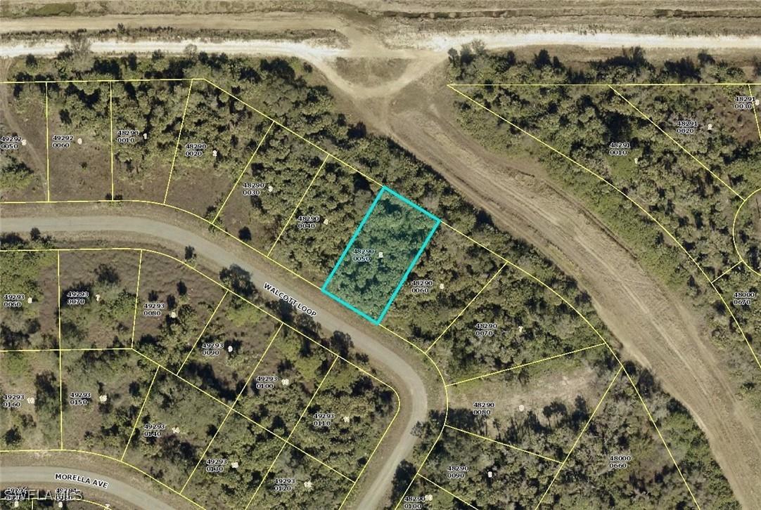 1987 Walcott Loop, Lehigh Acres, FL 33972