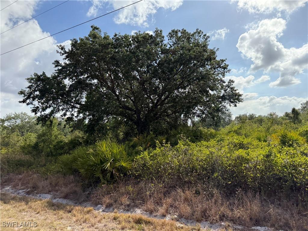 555 S Live Oak St., Clewiston, FL 33440