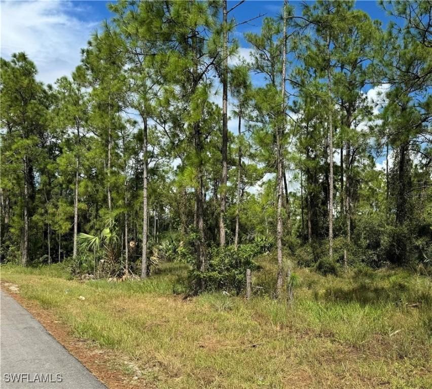 2124 Jackson Ave., Alva, FL 33920