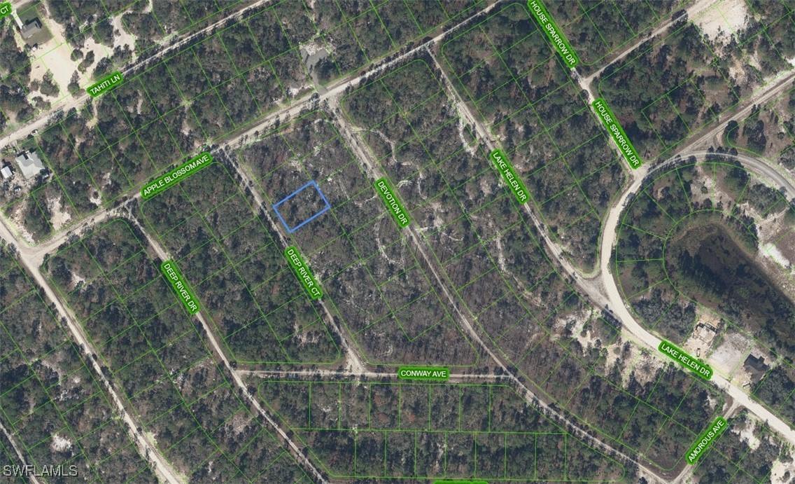523 Deep River Ct., Lake Placid, FL 33852