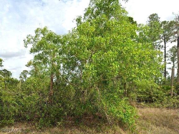 1247 Edna St., Lehigh Acres, FL 33974