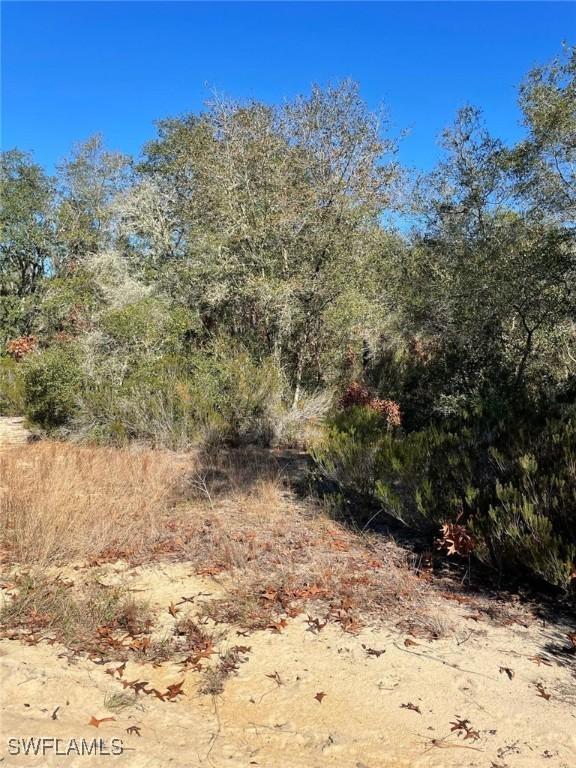 232 Brussels Avenue, Interlachen, FL 32148