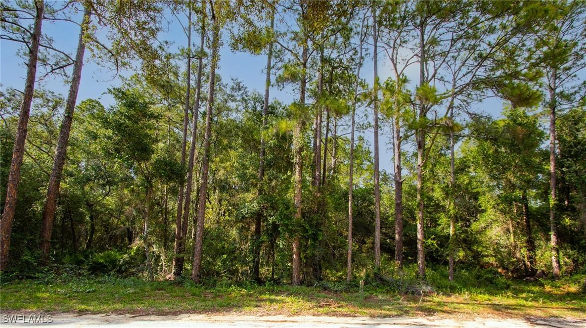 7176 Norway St., Webster, FL 33597