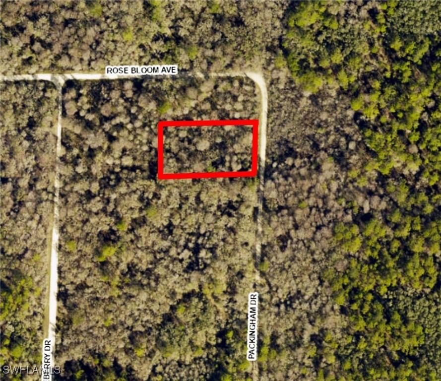 8009 Packingham St., Webster, FL 33597