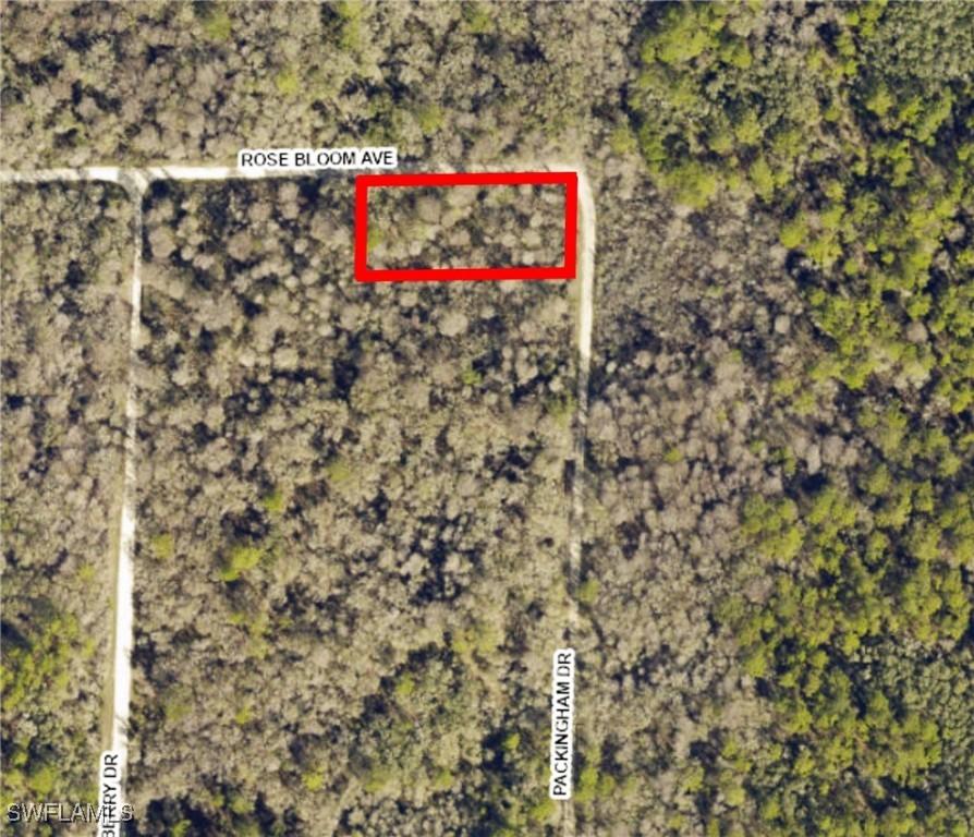 33464 Packingham Dr., Webster, FL 33597