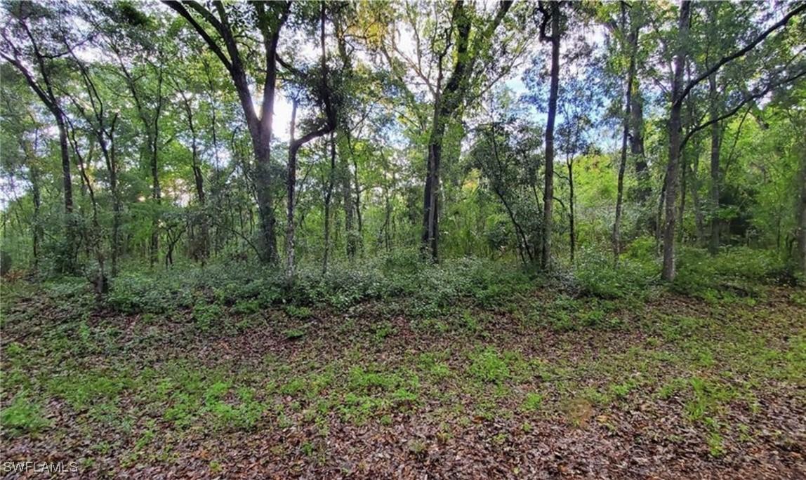 Kenyon Dr., Webster, FL 33597