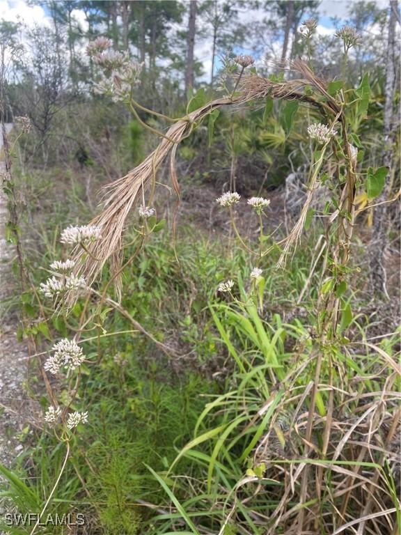 0000 44 St., Naples, FL 34120