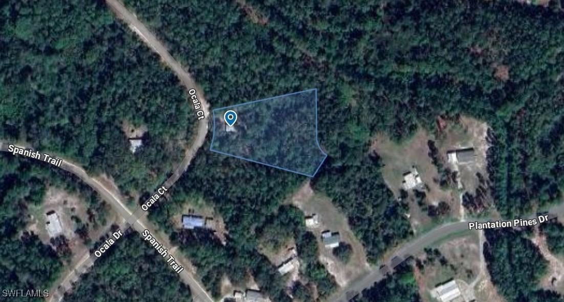 204 Ocala Ct., Georgetown, FL 32139