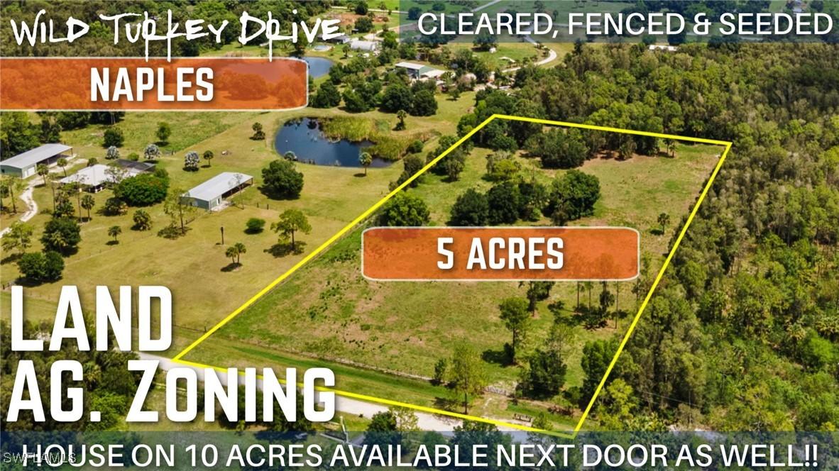 Wild Turkey, Naples, FL 34120