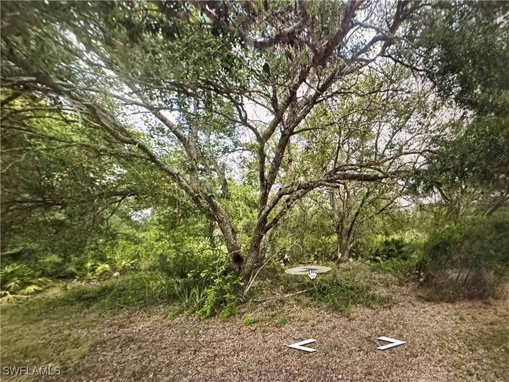 2306 Abbott Ave., Alva, FL 33920