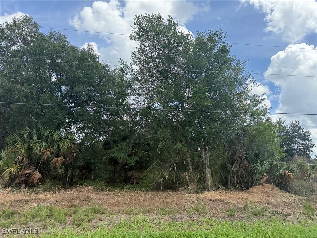 203 Bald Cypress Ave., Clewiston, FL 33440