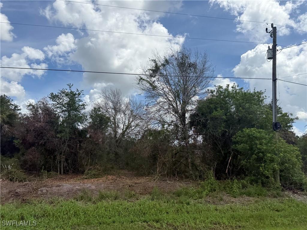209 Bald Cypress Ave., Clewiston, FL 33440