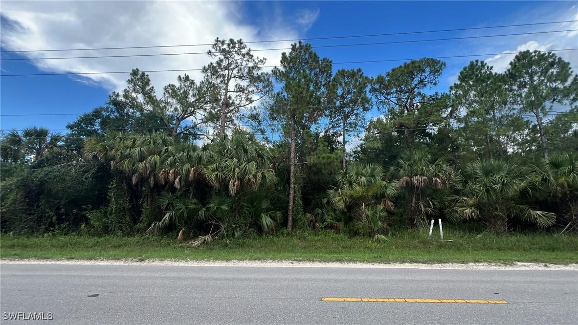 Desoto Blvd S Blvd., Naples, FL 34117