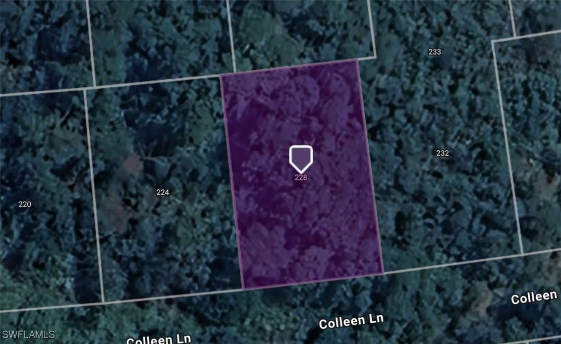 228 Coleen Ln., Lake Placid, FL 33852