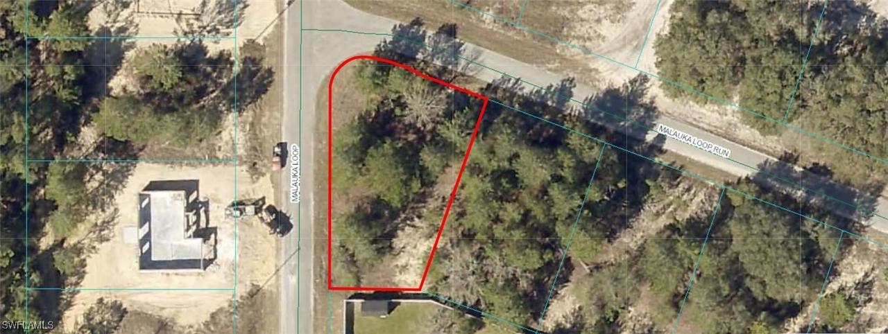 9031-0945-15 Malauka Loop Run, Ocklawaha, FL 32179