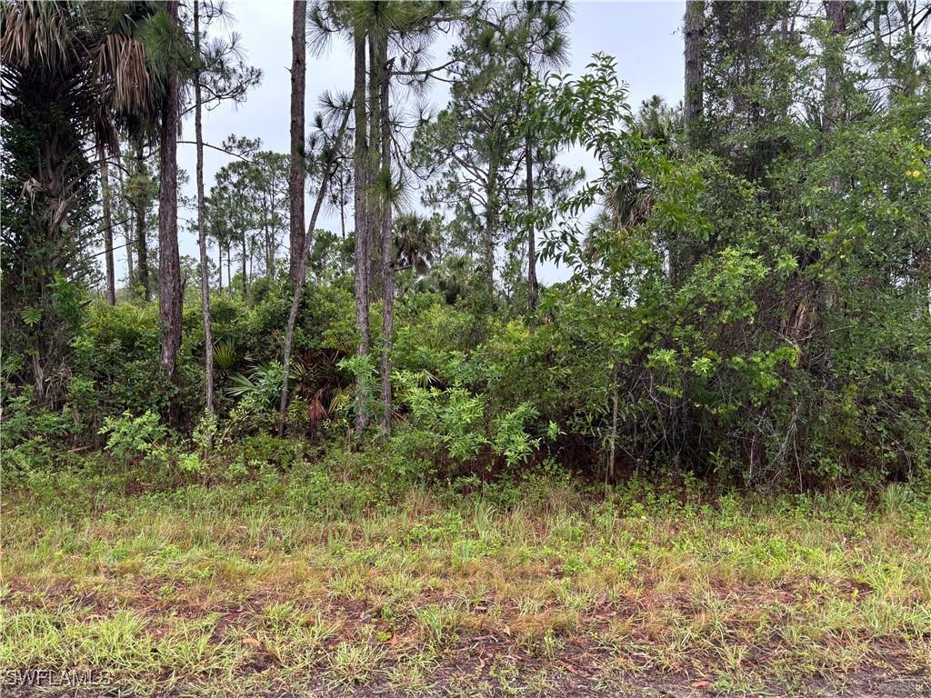 868 Audrey St., Lehigh Acres, FL 33974