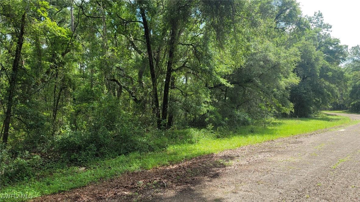 373 E Avondale Dr., Citrus Springs, FL 34434