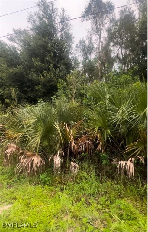 706 Delridge Ave., Lehigh Acres, FL 33974