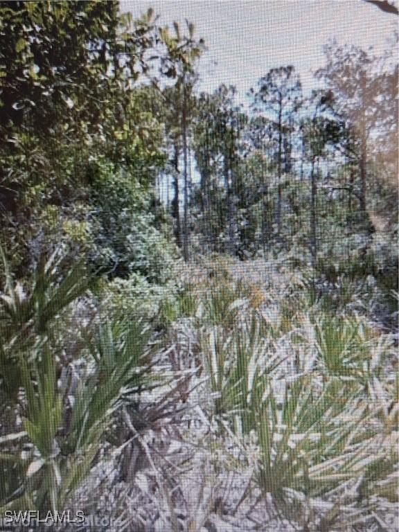 3010 Brownwood Dr., Sebring, FL 33875