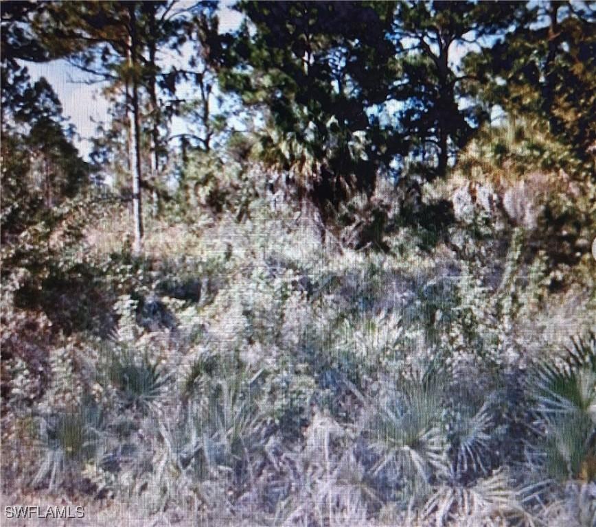 1109 Rambler St., Lehigh Acres, FL 33974