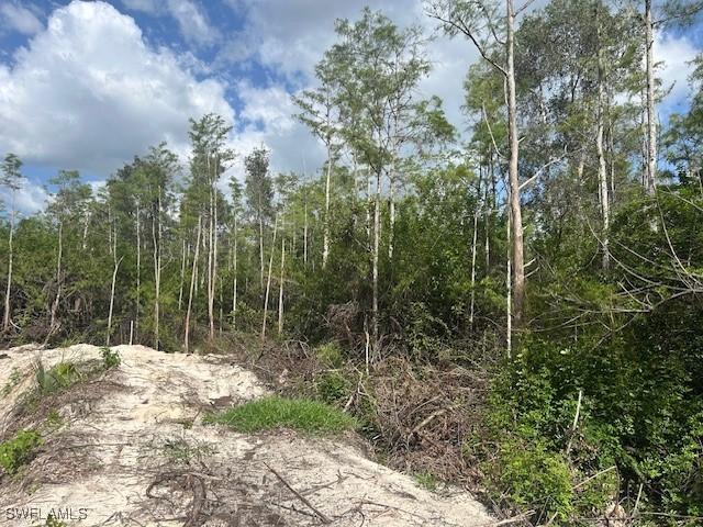 2 Rio Grande Dr, Bonita Springs, FL 34135